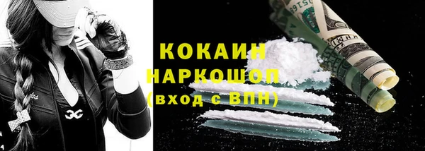 прущие грибы Аркадак