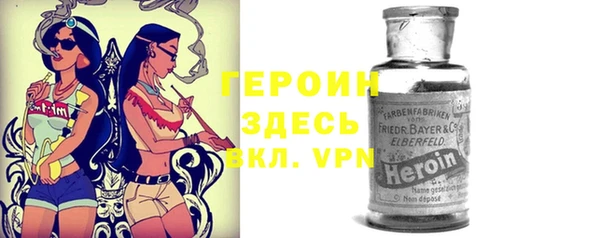 прущие грибы Аркадак