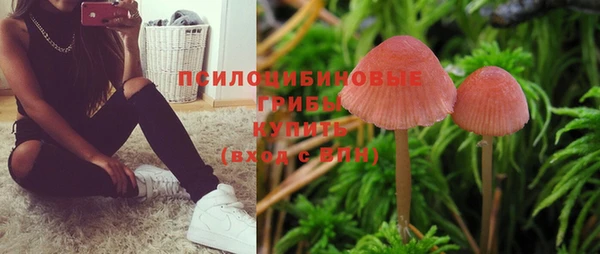 МДПВ Балахна