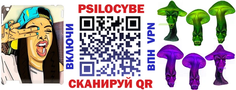 Купить  Спас-Деменск  Галлюциногенные грибы Cubensis 